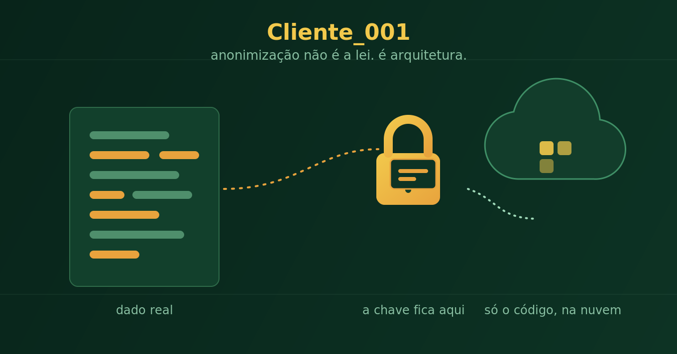 Capa: Sobre anonimizar dados